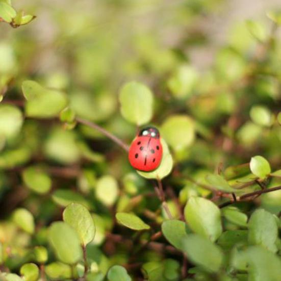 100Pcs/Set Manual Mini Wooden Ladybird Micro Landscape Decor DIY Wall Sticker