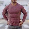 Muscleguys Spring Autumn Knitted Sports Long Sleeved Slim Fit Round Neck Running T-shirt Mens Casual Gym Training Bodybuilding Tees Shirt