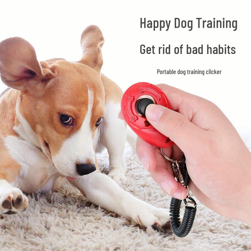 

Pet Dog Interactive & Training Toy Collection