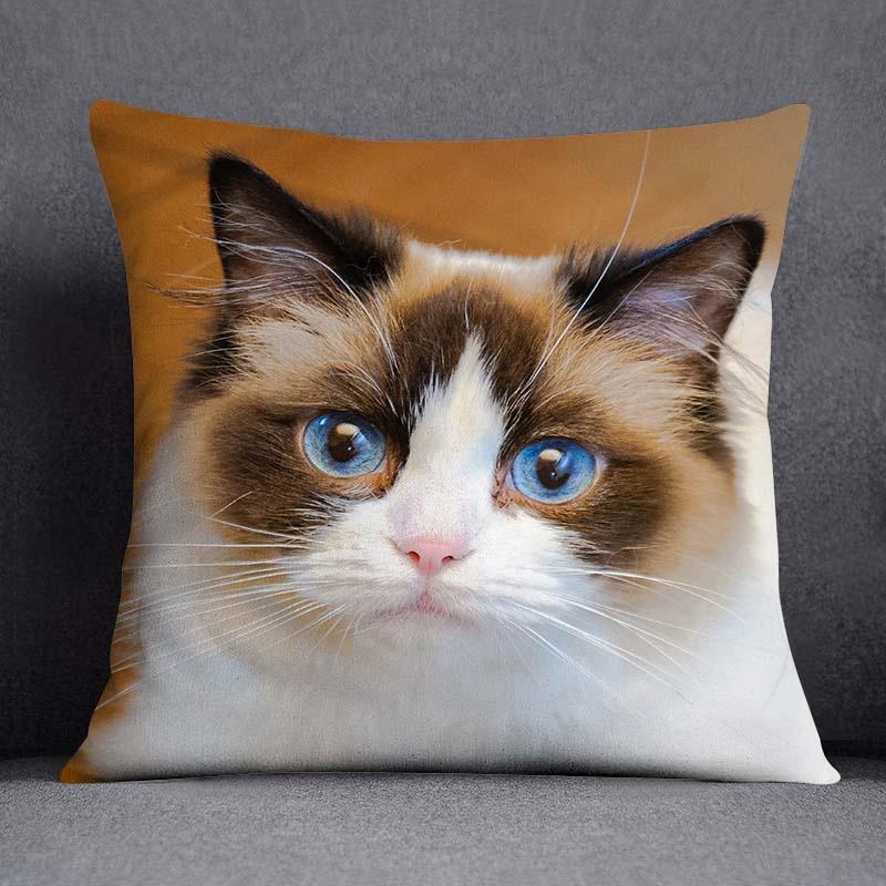 Cat Series Pattern Decorative Pillowcase, Square Home Office Decoration (45Cm * 45Cm)
