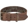 Collier Pour Chien - TRIXIE - Marron - Cuir Rustique - Rivets - XL