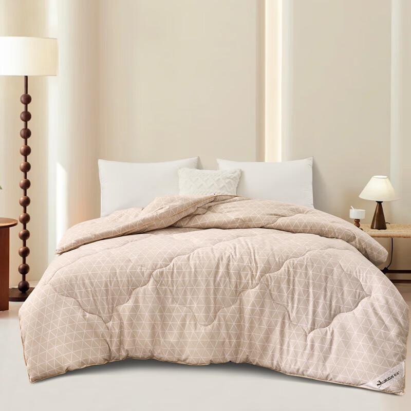 

Yilian Ultra-Soft Microfiber Duvet