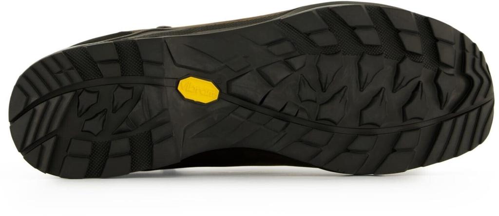 Обувь для треккинга Lowa Camino EVO GTX (210627-4527) brown/graphite