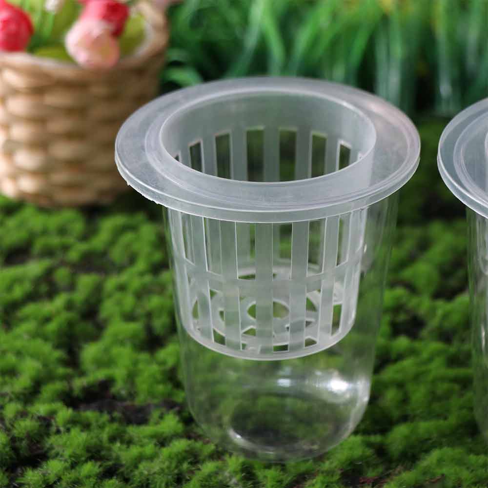 Plant Propagation Clear Hydroponic Pots Growing Planting Cups Tabletop Planting