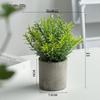 Artificial Potted Bonsai - Indoor Green Decor Flowers & Plants