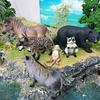 Realistische Wildtier PVC Schwarzbär Hyäne Esel Figuren Für Kinder Lern- und Ausstellungszwecke