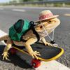 Funny Pet Skateboard Toys Set Creative Parrot Skateboard Lizard Mini Scooter  Photograph Prop