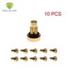 10PCS