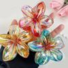 Hair Claw Clip Princess Theme Hair Claw Clamp Lovely Plumeria Hair Catch Barrettes Strong Hold Hairpin for Girls