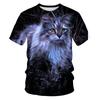 Summer Trendy Animal Cat Round Neck Short Sleeved 3D Digital Printed Men's Short Sleeved T-shirt