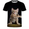 Summer Round Neck 3D Cute Cat Print Top Fashionable Casual Short Sleeved Men's T-shirts