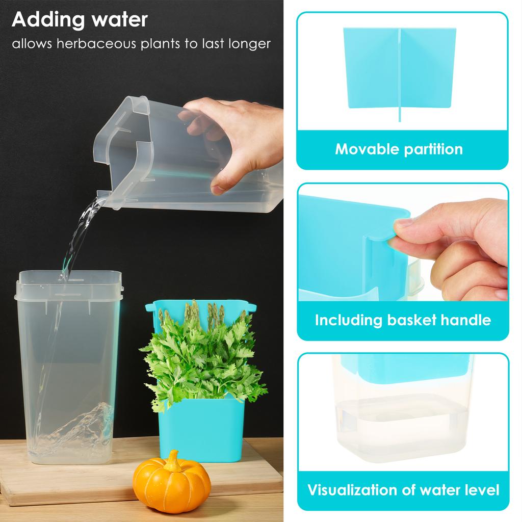 Plastic Refrigerator Transparent Fresh-keeping Container Coriander Mint Multi-purpose Vegetable Efficient Fresh-keeping Box
