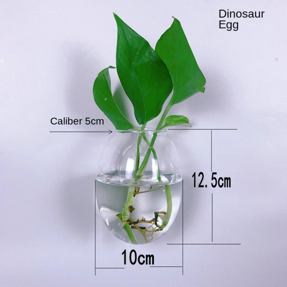 

Горщик для рослин з дренажним отвором для кімнатних та вуличних рослин, підвісний горщик для самополиву B