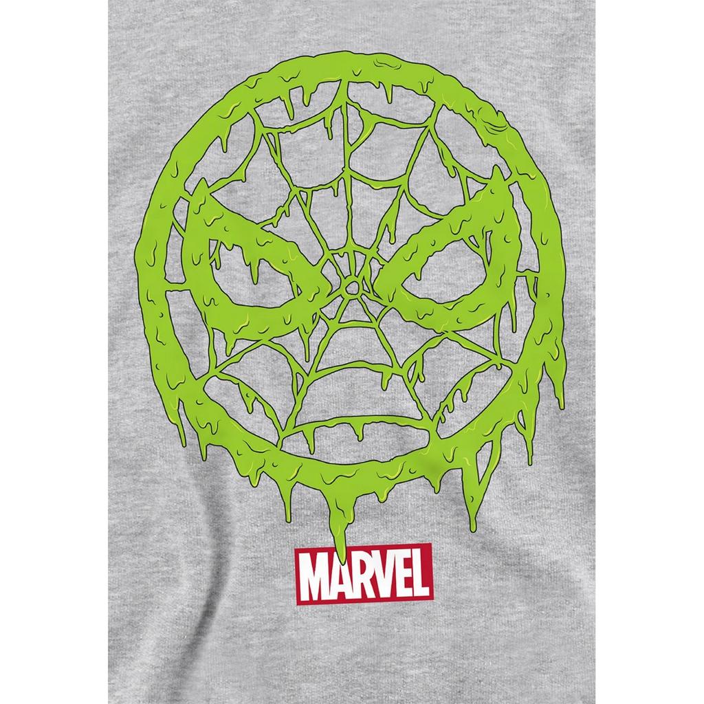 Spider-Man Childrens/Kids Lo Pull Over Hoodie