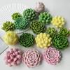 DIY Geometric Silicone Mold Succulents Shape Concrete Moulds Realistic Craft Molds Resin Moulds for Hand-Making Candle