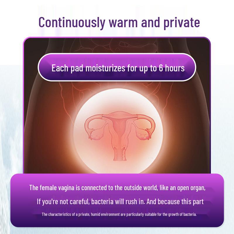 Shu Nai Mei Deluxe Snow Lotus Intimate Warming Pad Set - 12 Pieces