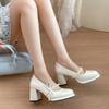 Black French Retro Rough High Heel Light Mouth Single Shoes Women's 2025 New Summer with Skirt Bow Mary Jane Shoes
