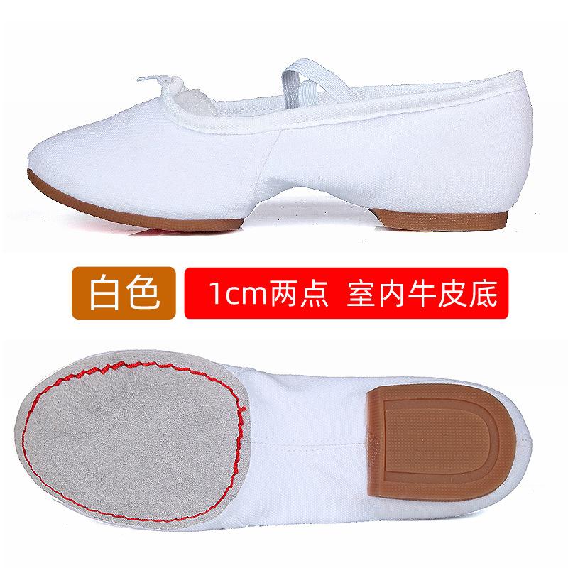 Ballet Dance Shoes Women Teacher Stage Training Sports Shoe Soft Sole Slippers Yoga Belly Practice Shoe Girls Jazz Dancing Shoes
