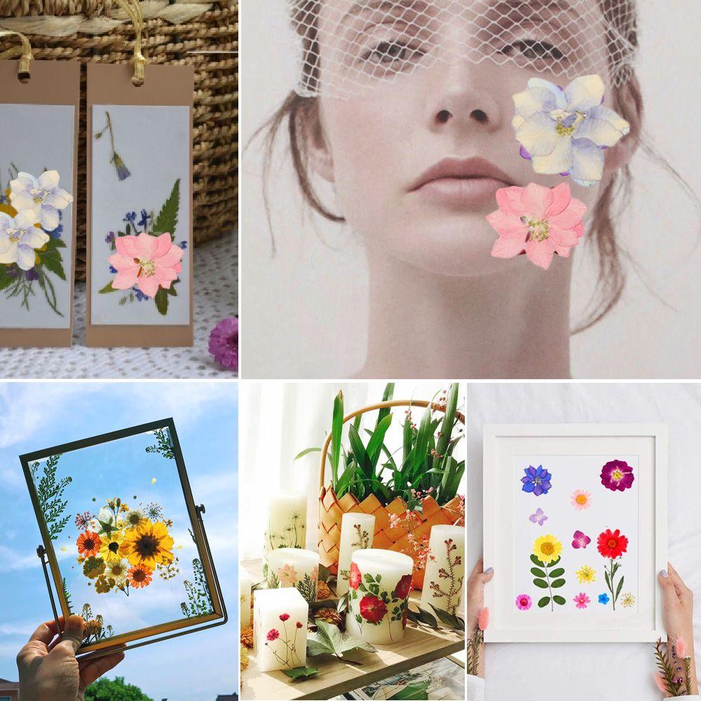 Filling Materials Jewelry Making Resin Filler Resin Mold Filling Flower Beauty Decal Dried Flowers