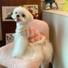 Pet clothes dog sweater Maltese Schnauzer puppy small dog cat autumn and winter clothing cute knitted versatile