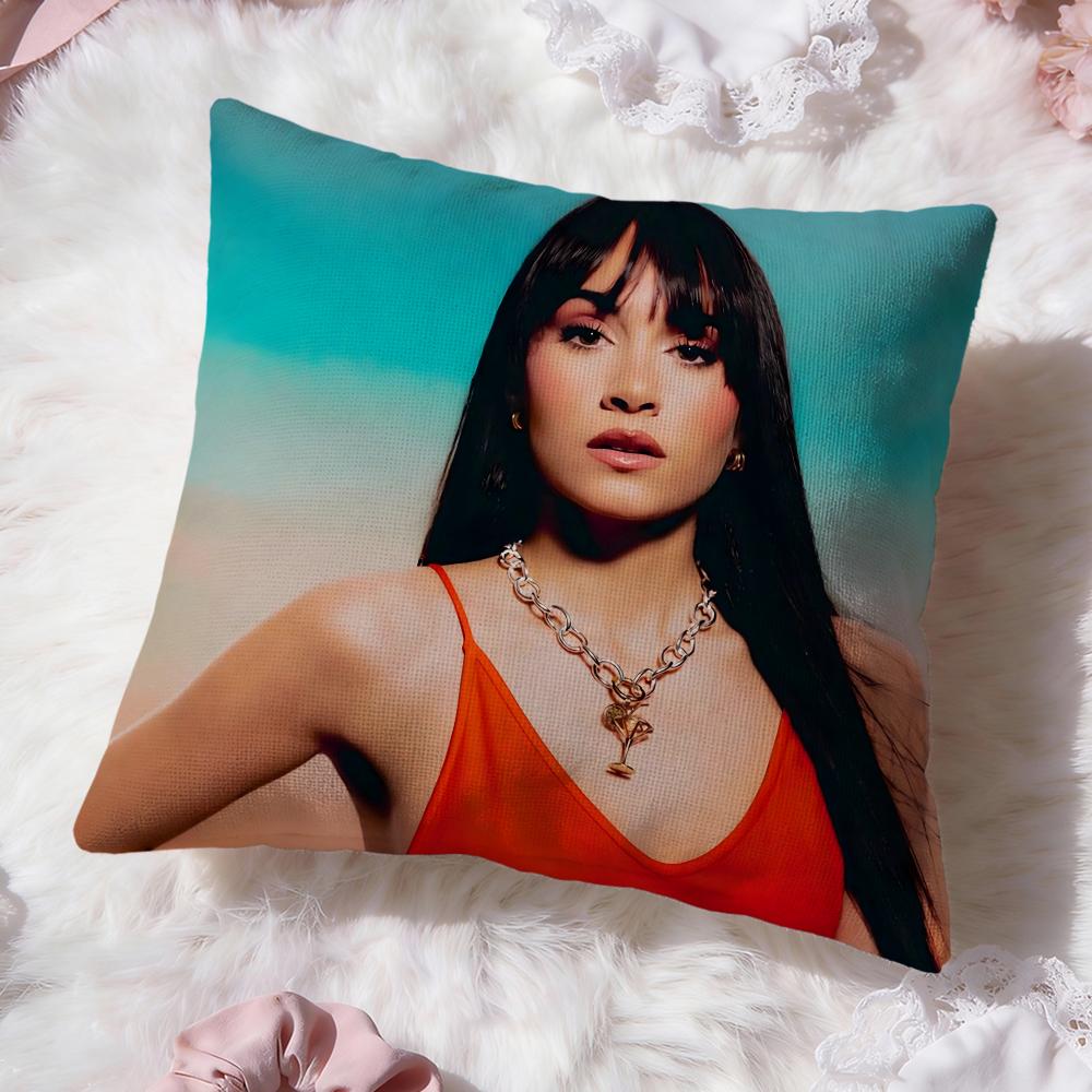 Singer A-AitanaS Cushion Cover Premium Comfort Reversible Pillow Cove -Two in One Design for Any Room & Car Interior