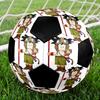 DRAGON BALL Indoor Soccer Ball Colorful Machine Stitched PVC Size 5 Team Training Competition Ready Durable High-Bounce Cool Sports Gift