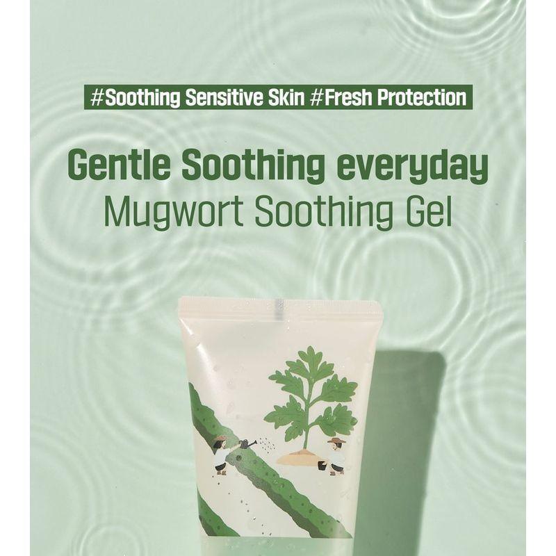 ROUND LAB - Mugwort Calming Soothing Gel