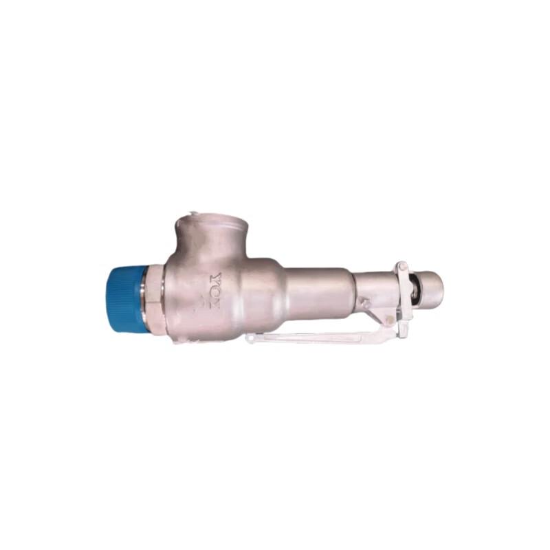 YOY 316 Stainless Steel Spring-Loaded Safety Valve