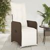 Vidaxl Folding Garden Chairs, 2 Pcs, Cushions, Brown Rattan Pe