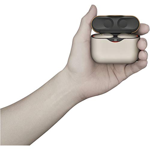 Sony Noise Canceling Earphones WF-1000XM3: Completely Silver WF-1000XM3 SM