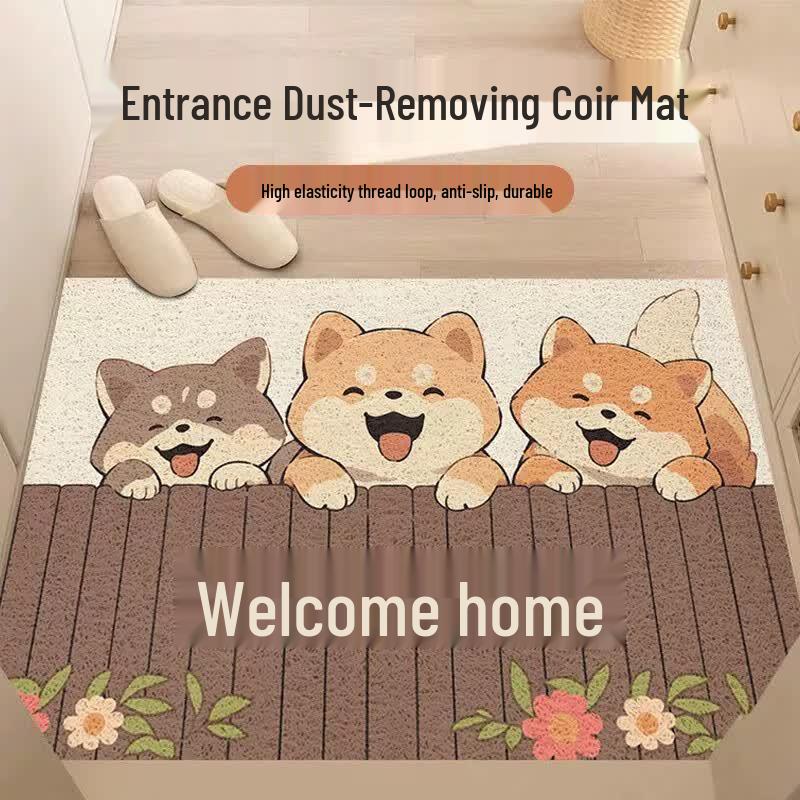 Aijiepu Cartoon Silk Loop Entrance Mat