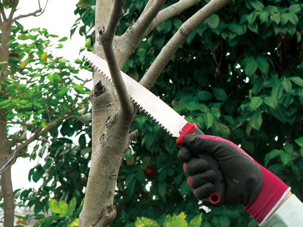 ARS Fruit Tree Pruning Saw 24 SG-24