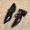 Fashion 2025 New Designer Vintage Pointed Toe Women Mary Jane Shoes Fashion Shallow Buckle Shoes Ladies Elegant Dress Thick Heel Shoes
