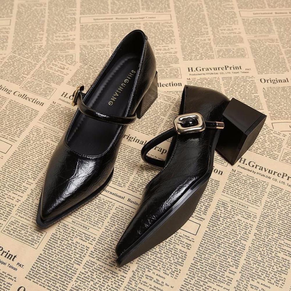 Fashion 2025 New Designer Vintage Pointed Toe Women Mary Jane Shoes Fashion Shallow Buckle Shoes Ladies Elegant Dress Thick Heel Shoes