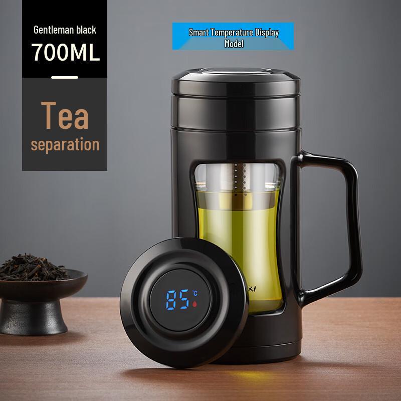 Tianxi 700ml Double-Layer Glass Tea Infuser Bottle with Temperature Display