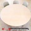 ZISIZ Red Thickened Disposable Round Plastic Tablecloth