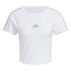 T Shirts Women's White/Powder Plum Purple KC5429