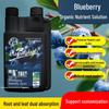 Blueberry Special Nutrient Solution: Organic Acidifying Fertilizer for Potted Blueberry Trees, Turns Yellow Leaves Green