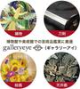 Kenko Monocular Gallery EYE 4x 12mm aperture Minimum focusing distance 19cm Made in Japan 001400 4×12