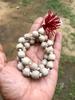 27 Perlen 11 mm Indische Original TULSI Tulasi Taschen-Mala, 27+1 Guru-Perle Heiliges Basilikum Vaishnav Iskcon Mala Rosenkranz Yoga Gebet Heilung Meditation