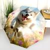 Husky and Grass pattern, automatic folding umbrella, portable and foldable design, 8 ribs, a Christmas or birthday gift.