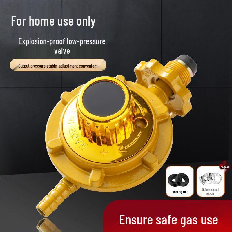 1.2 Gas Stove Low-Pressure Explosion-Proof Water Heater Valve with Ten-Speed Pressure Reducer and Gauge