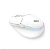 Periferice pentru calculatoare – Mouse-uri