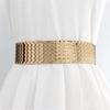 Women Stretch Belt with Fish Scale Texture Versatile Corset for Banquet Dress