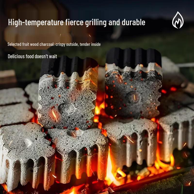Fruit Wood Fast-Burning Charcoal Blocks