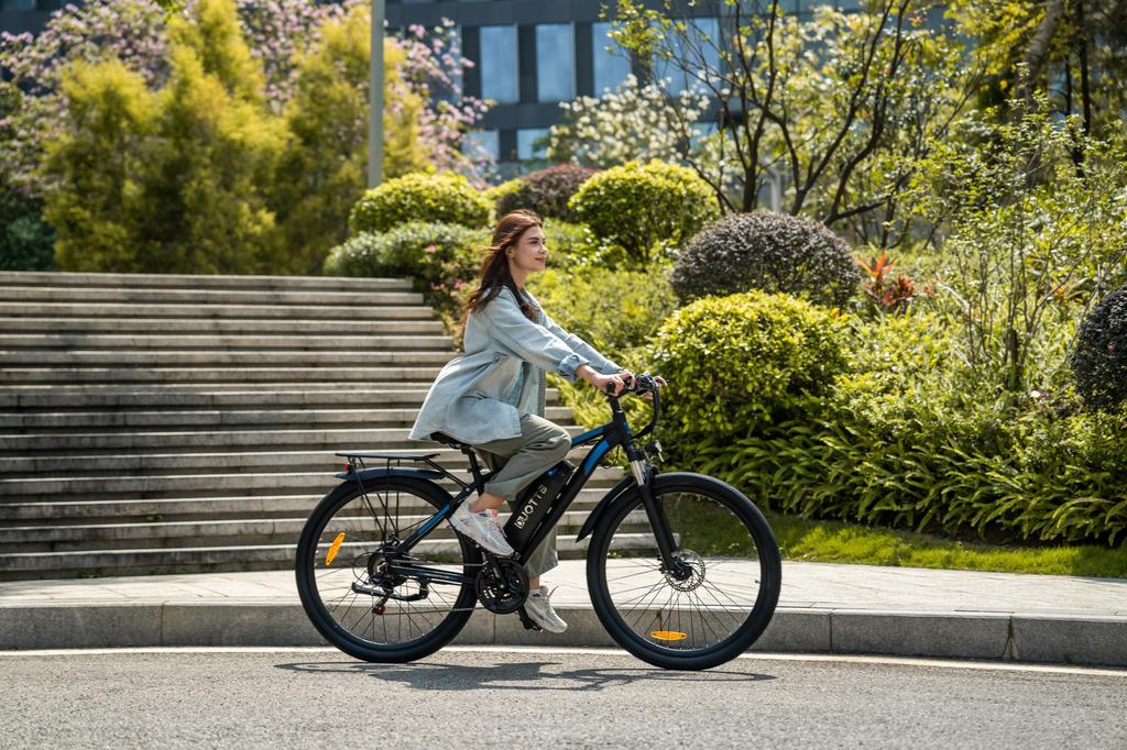 DUOTTS C29 Elektrofahrrad 750W Motor 48V 15AH Lithiumbatterie Elektrofahrrad 29-Zoll-Reifen 21-Gang Pendler E-Bike