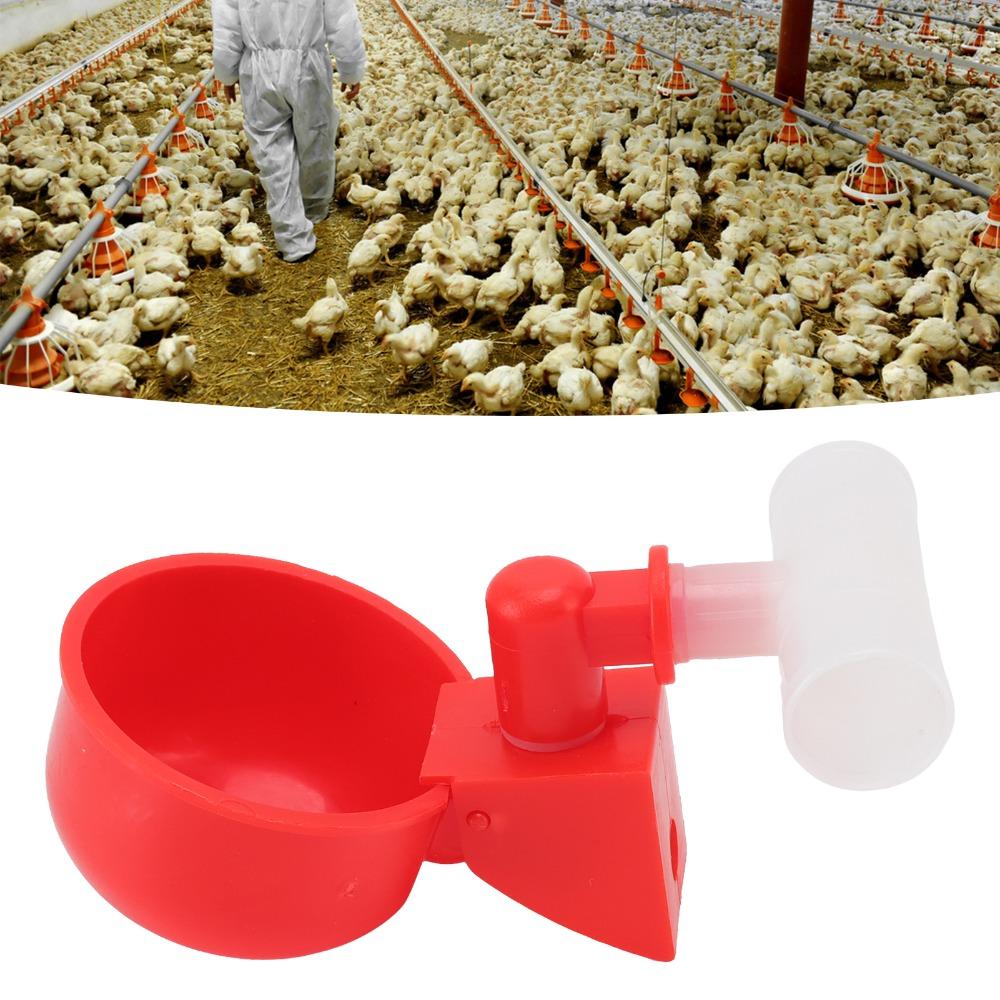 10 Sets Durable Automatic Chicken Water Cups PP Poultry Drinking Bowl For Quails