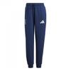 Womens/Ladies Olympic Poland Tracksuit Bottoms