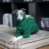 Christmas Green Dog Sweater Autumn Turtleneck Thickened Pet Sweater Italian Greyhound Whippet Two-legged Knitted Dog Clothes