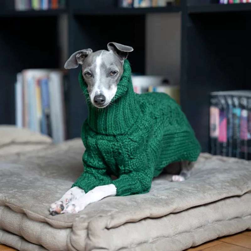 Christmas Green Dog Sweater Autumn Turtleneck Thickened Pet Sweater Italian Greyhound Whippet Two-legged Knitted Dog Clothes